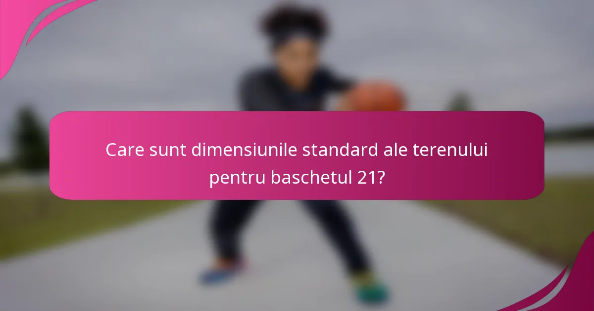 Care sunt dimensiunile standard ale terenului pentru baschetul 21?