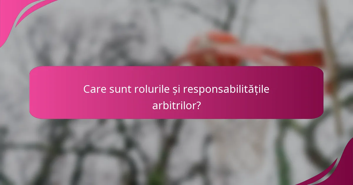 Care sunt rolurile și responsabilitățile arbitrilor?